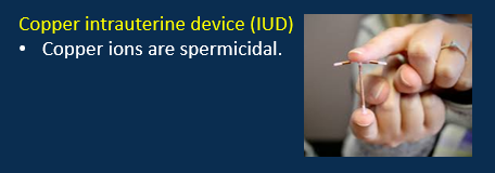 <p><span><strong>Combined oestrogen and progesterone</strong></span></p><p><span>•Oestrogen lowers FSH = inhibits ovarian follicle development.</span></p><p><span>•Progesterone lowers LH = prevents ovulation, thickens cervical mucus, endometrial atrophy, decreases uterine tube motility.&nbsp;&nbsp;</span></p><p><span>•Pill, transdermal patch or vaginal ring.</span></p><p style="text-align: left;"></p><p style="text-align: left;"><span><strong>Progesterone only</strong></span></p><p><span>•Pill, implant, injection or intrauterine system (IUS).</span></p><p style="text-align: left;"></p><p style="text-align: left;"><span><strong>Copper intrauterine device (IUD)</strong></span></p><p><span>•Copper ions are spermicidal.</span></p>