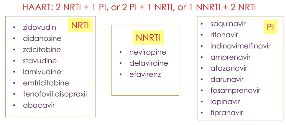 <p>highly active anti-retroviral therapy → combination therapy to treat HIV</p><ul><li><p>HIV mutates and becomes resistance to drugs quickly</p></li><li><p>HIV has no cure → anti-HIV drugs are for lifetime and have toxic side effects</p></li><li><p>examples of HAART are:</p><ul><li><p>2 nucleoside reverse transcriptase inhibitors (NRTI) + 1 protease inhibitor (PI)</p></li><li><p>1 nucleoside reverse transcriptase inhibitor (NRTI) + 2 protease inhibitor (PI)</p></li><li><p>2 nucleoside reverse transcriptase inhibitors (NRTI) + 1 non-nucleoside reverse transcriptase inhibitors (NNRTI)</p></li></ul></li></ul><p></p>