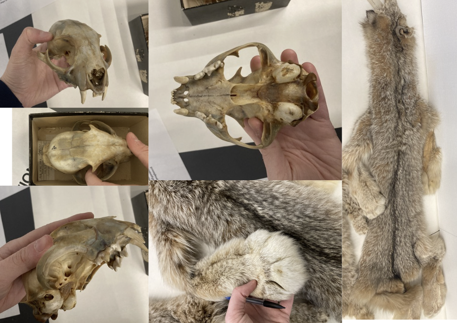 <p>What is this?</p>