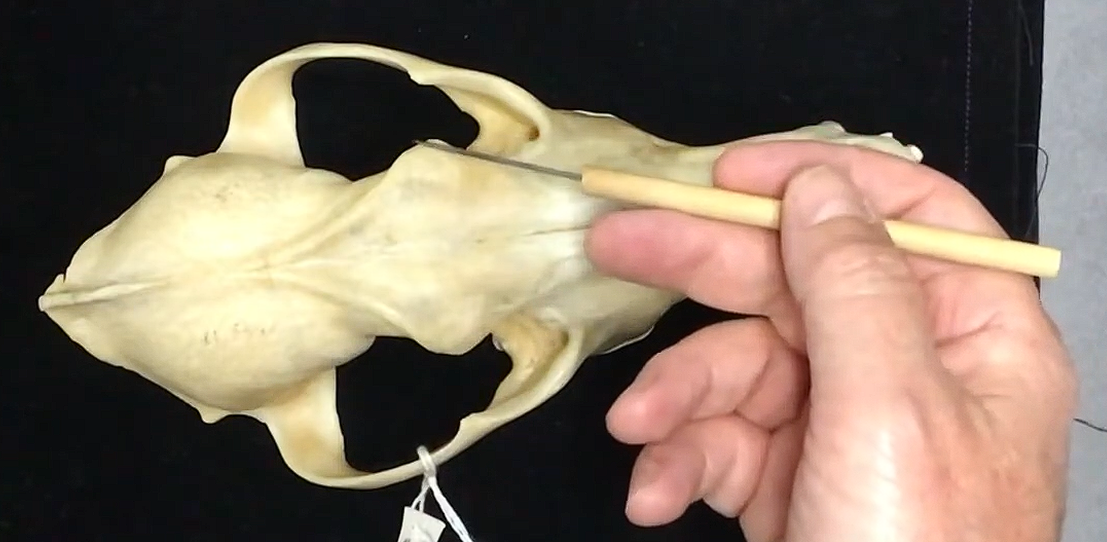 <p>What is this structure?</p>