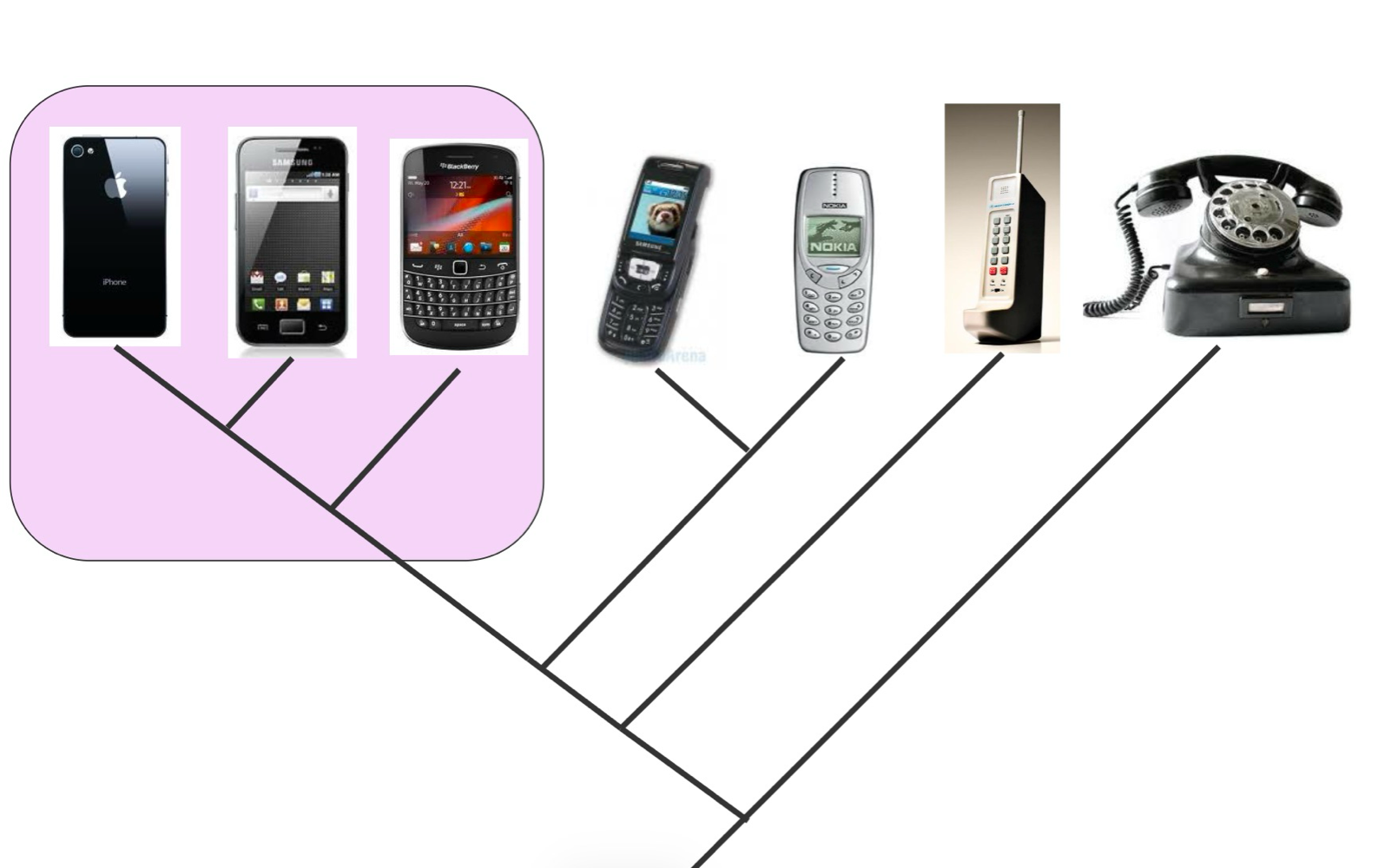 <ul><li><p>A group of that includes all members that share a most recent common ancestor </p></li></ul><p></p>