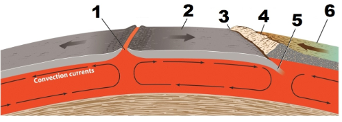 <p><span>In the figure below, </span><strong>number 6</strong><span> represents ...</span></p>