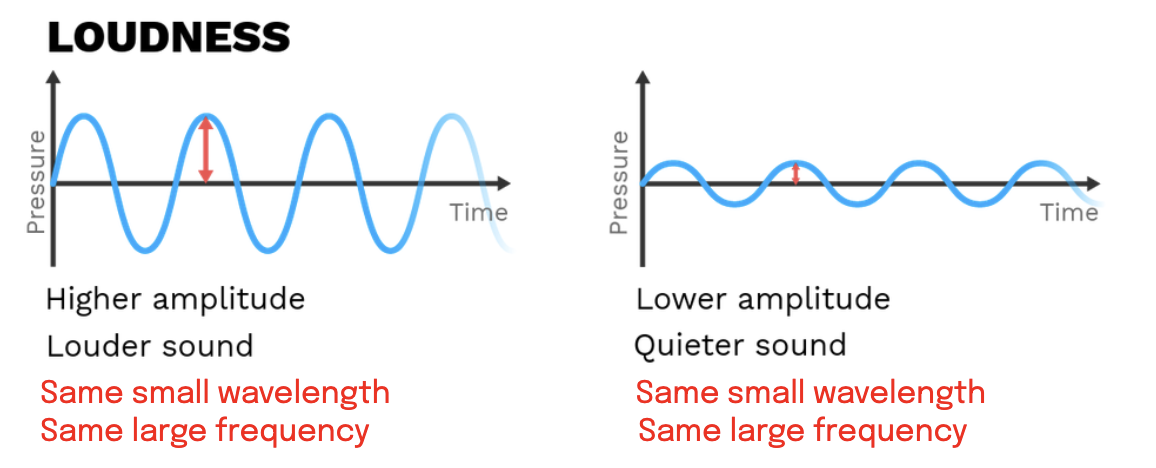 <p>The loudness of a sound is proportional to its <strong><mark data-color="red" style="background-color: red; color: inherit;">amplitude</mark></strong> in soundwaves.</p><p>Higher amplitude: louder</p><p>Lower amplitude: quieter</p><ul><li><p>Frequency/pitch/wavelengths are irrelevant</p></li><li><p>However, usually lower amplitudes (quieter) are associated with deeper sounds with low pitches (e.g tummy grumbling)</p></li><li><p>Contrarily, higher amplitudes (louder) are associated with sharper sounds with high pitches (e.g mouse squeak)</p></li></ul><p></p>
