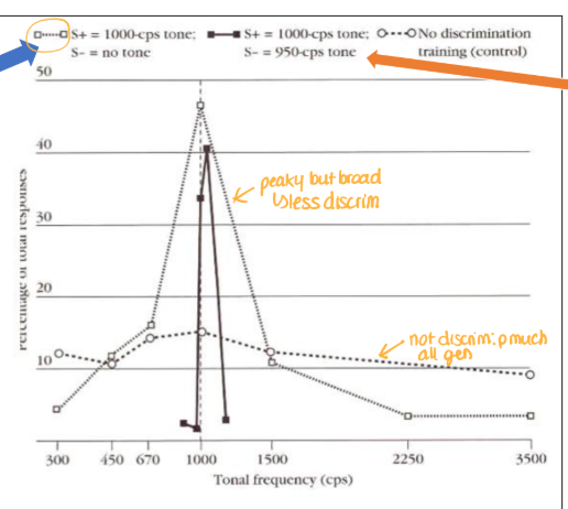 <ul><li><p>interdimensional discrimination (blue)</p><ul><li><p>BETWEEN</p></li><li><p>tone vs no tone (like R vs L leg)</p></li><li><p>discrim within tones is not learned</p></li></ul></li><li><p>intradimensional discrimination</p><ul><li><p>WITHIN</p></li><li><p>both tones BUT diff frequencies</p></li><li><p>faster discrim dropoffs cuz learning abt 1 stimulus</p></li></ul></li></ul><p></p>