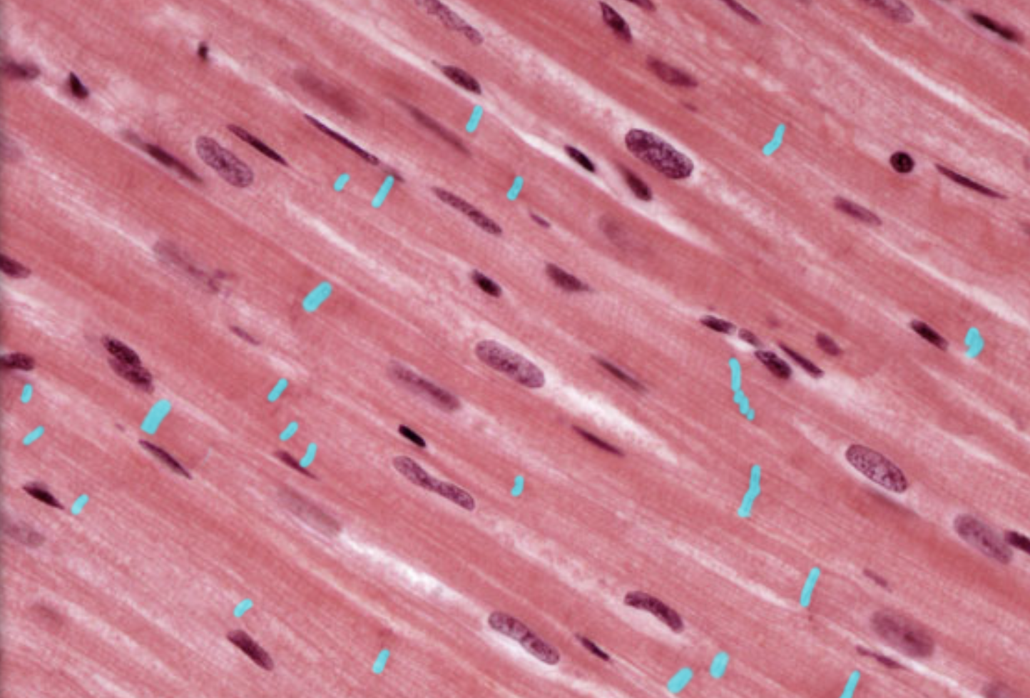 <p>What is highlighted</p>