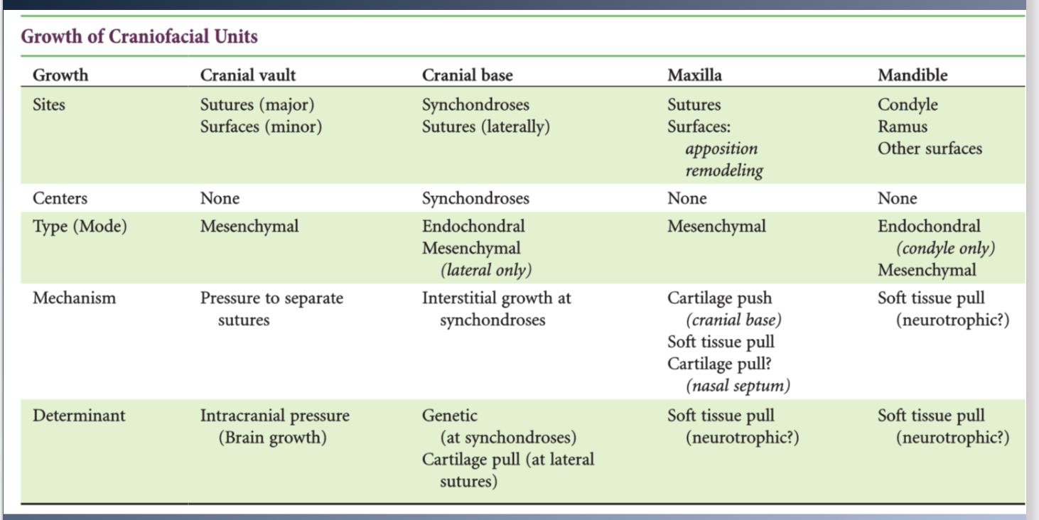<p>Maxilla:</p><p><span>- Combination of growth at the sutures and direct remodeling on the surface.</span><br><span>- Translated downward and forward as the face grows</span><br><span>- Nasal septum cartilage and soft tissues contribute to the forward</span><br><span>repositioning of the maxilla</span></p><p><span>MANDIBLE:</span><br><span>- Endochondral proliferation at the condyle, apposition and resorption of bone at surfaces.</span><br><span>- Translated in space by the growth of the muscles and other soft tissues.</span><br><span>- Addition of new bone at the condyle is in response to the soft tissue changes.</span></p>
