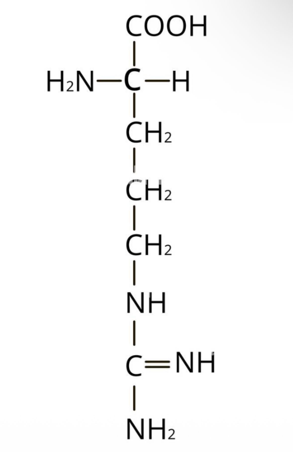 <p>what amino acid</p>