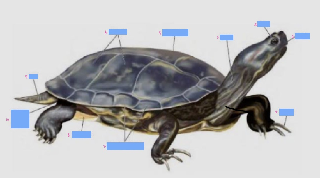 <p>2</p>