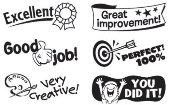 <p>Positive reinforcement</p>