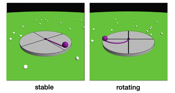 <p>Winds are deflected due to Earth’s rotation (2)</p>