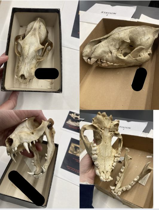 <p>What is this?</p>