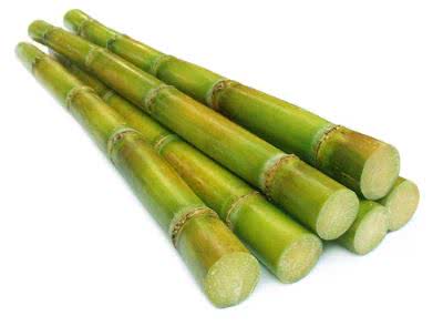 <p>sugarcane (n) <span>/ˈʃʊɡər keɪn/</span></p>