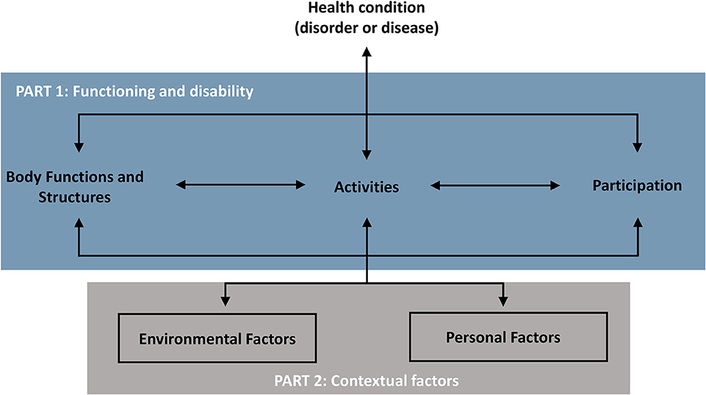 <p>focuses on the ICF=international classification of functioning, disability, and health which is a common tool that creates a »</p><p></p><p>universal language to look at patients health and focuses on how to describe how a person lives and functions with their health condition </p><p></p><p>has 6 components divided into 2 domains </p><p></p><p><span style="line-height: 22.0875px;">ICF is compared to the OTPF to see how it can be applied </span></p>