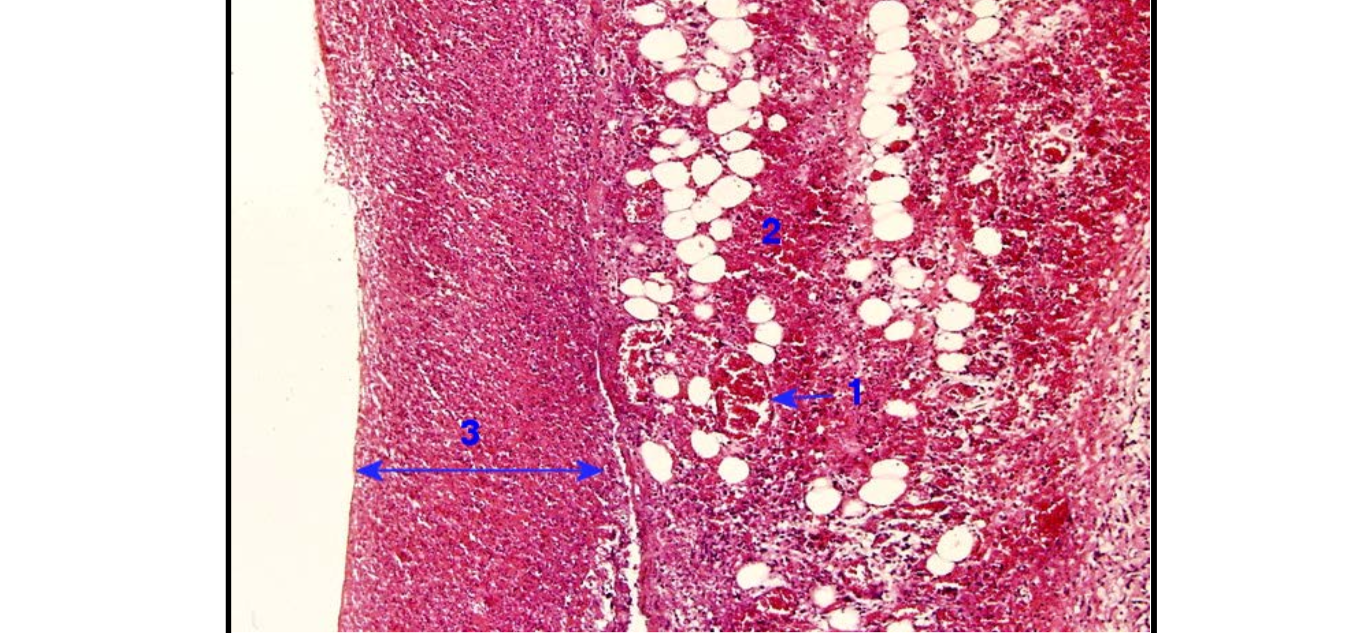 <p>Chất nằm ở số 2 là</p>