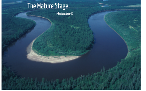 <p>False.</p><p>The young stage <em>looks </em>faster bc it has white rapids + more waterfalls, however, the avg speed is slower bc there is more friction generated by the large boulders at the bottom of the river<br><br>The mature stage is faster bc the riverbed is smooth by this point → less friction, although it looks calm.</p>