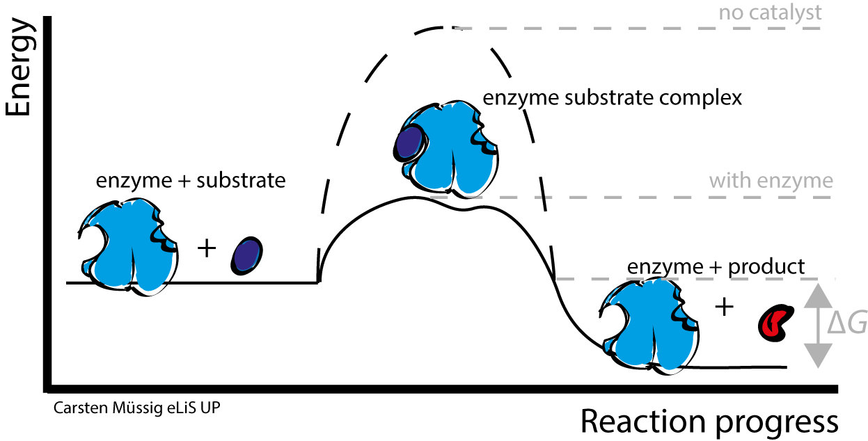 <p>What is wrong with this diagram? </p>