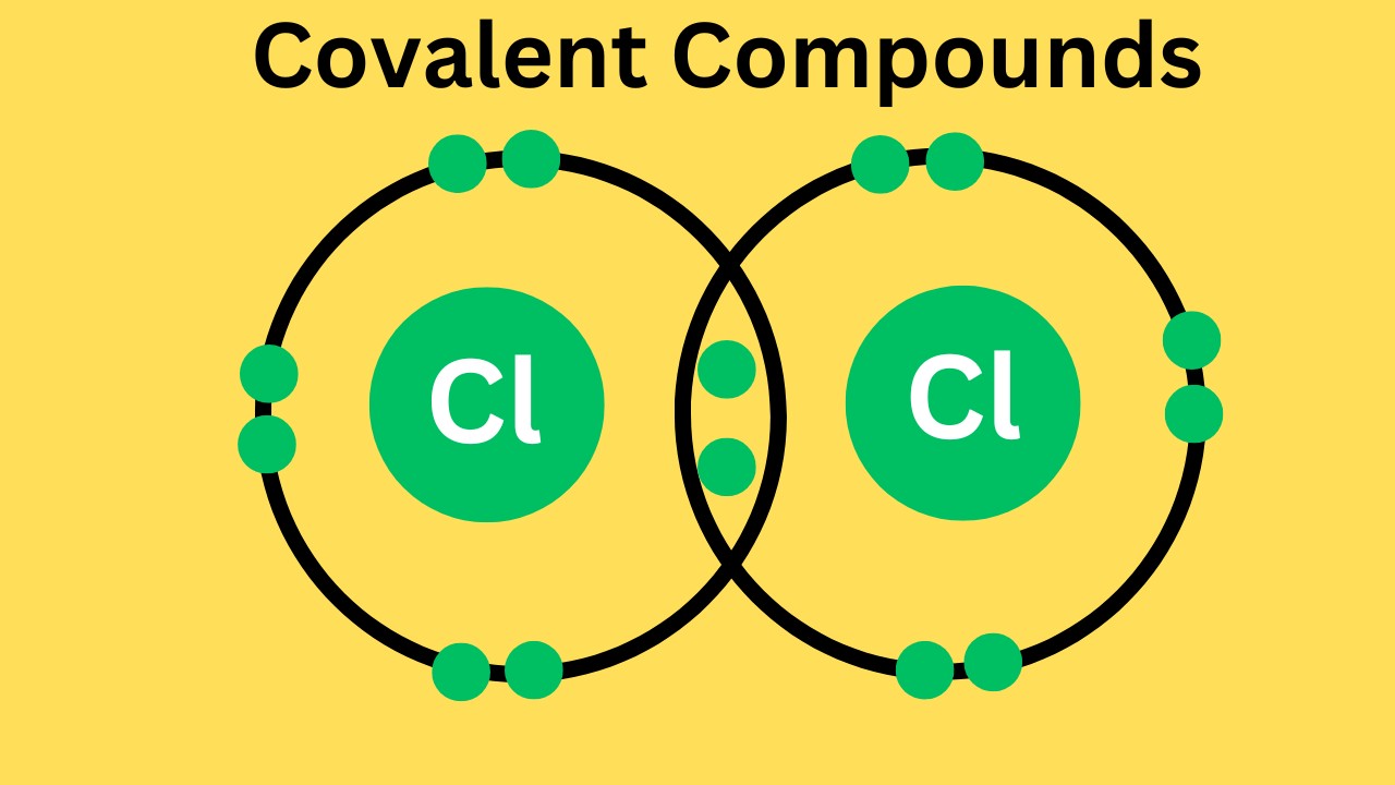 <p>Covalent Bonds</p>
