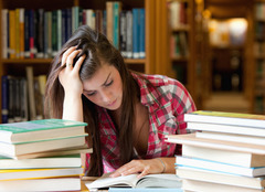<p>estudian</p>