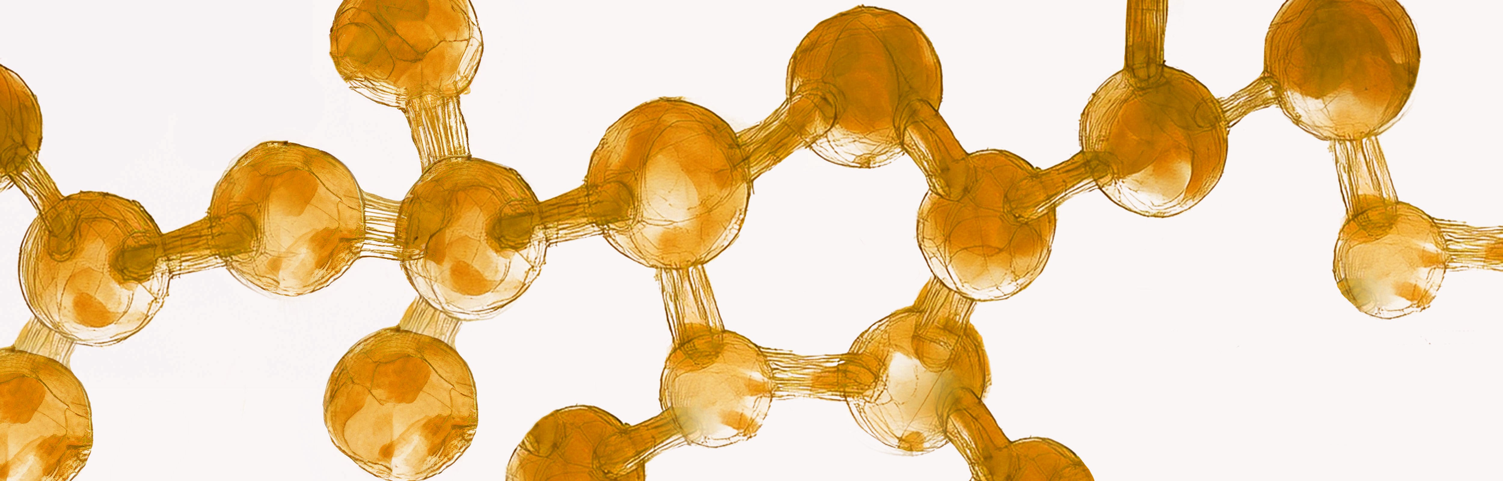<p>When glucose molecules are broken down the energy that was stored in the chemical bonds is used to synthesize <strong><em>???? </em></strong>the energy currency of the cell</p>