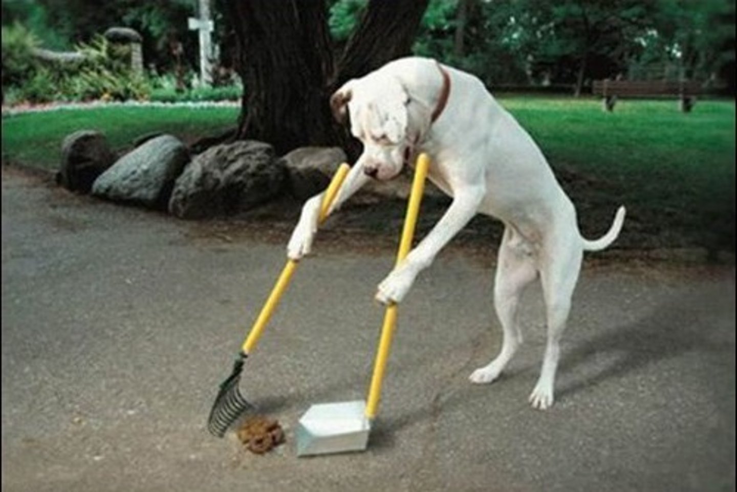 <p>responsabilidad</p>