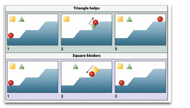<p>vraag met wie wil je liever helpen</p><p>kiezen de triangle </p><p>baby’s zouden dit dus al snappen </p><p>reward en punisch </p>