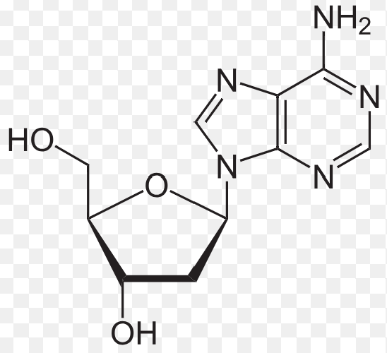 <p>A nucleotide without phosphate group</p>