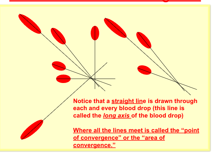 <p><span style="background-color: transparent;"><strong>NOTE HOWEVER That when you measure the distance it is taken from the BACK of the drop! (NOT the front of the drop) <br><br><em>The distance measurement is needed so you can calculate the actual&nbsp; height that the blood spatter came from</em></strong></span></p>