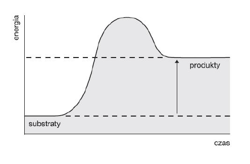 <p>GRUPA A</p><p>13. Na wykresie przedstawiono zmiany poziomów energetycznych cząsteczek zachodzące podczas pewnej reakcji metabolicznej. Zaznacz zdanie, ktore nie dotyczy zilustrowanej reakcji.</p><p>A. Jest to reakcja endoergiczna.</p><p>B. Produkt tej reakcji zawiera więcej energii niż substrat.</p><p>C. Ilość energii potrzebnej do zajścia tej reakcji to energia aktywacji.</p><p>D. Przykładem tego typu reakcji jest fermentacja mlekowa.</p>
