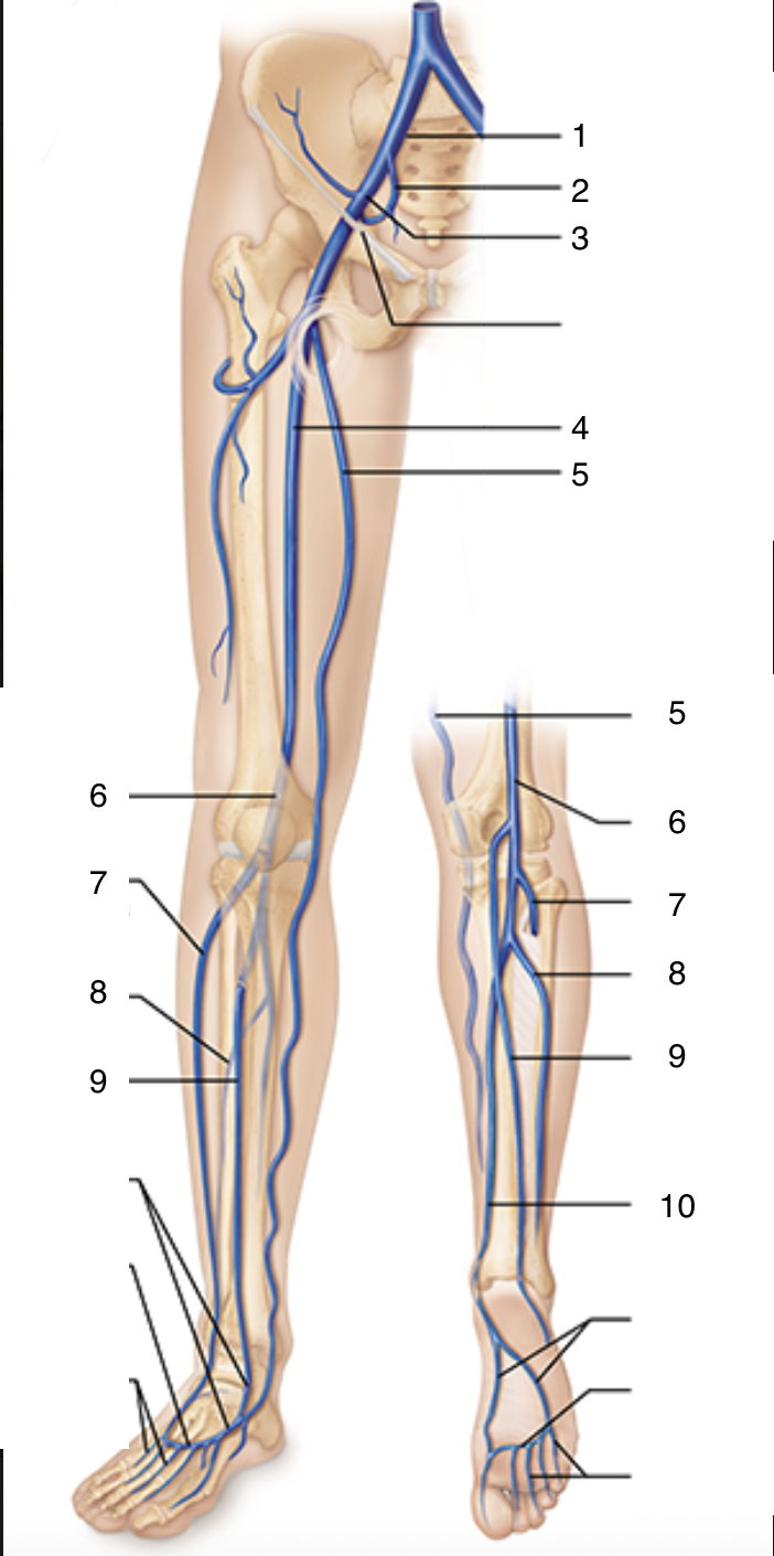 <p>9</p>