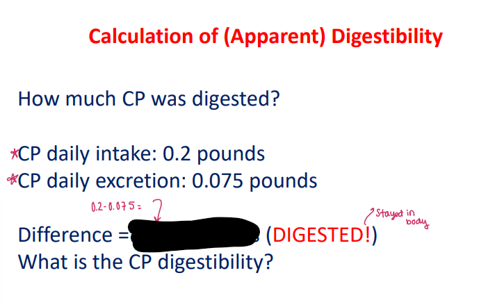 <p>Calculation #2</p>