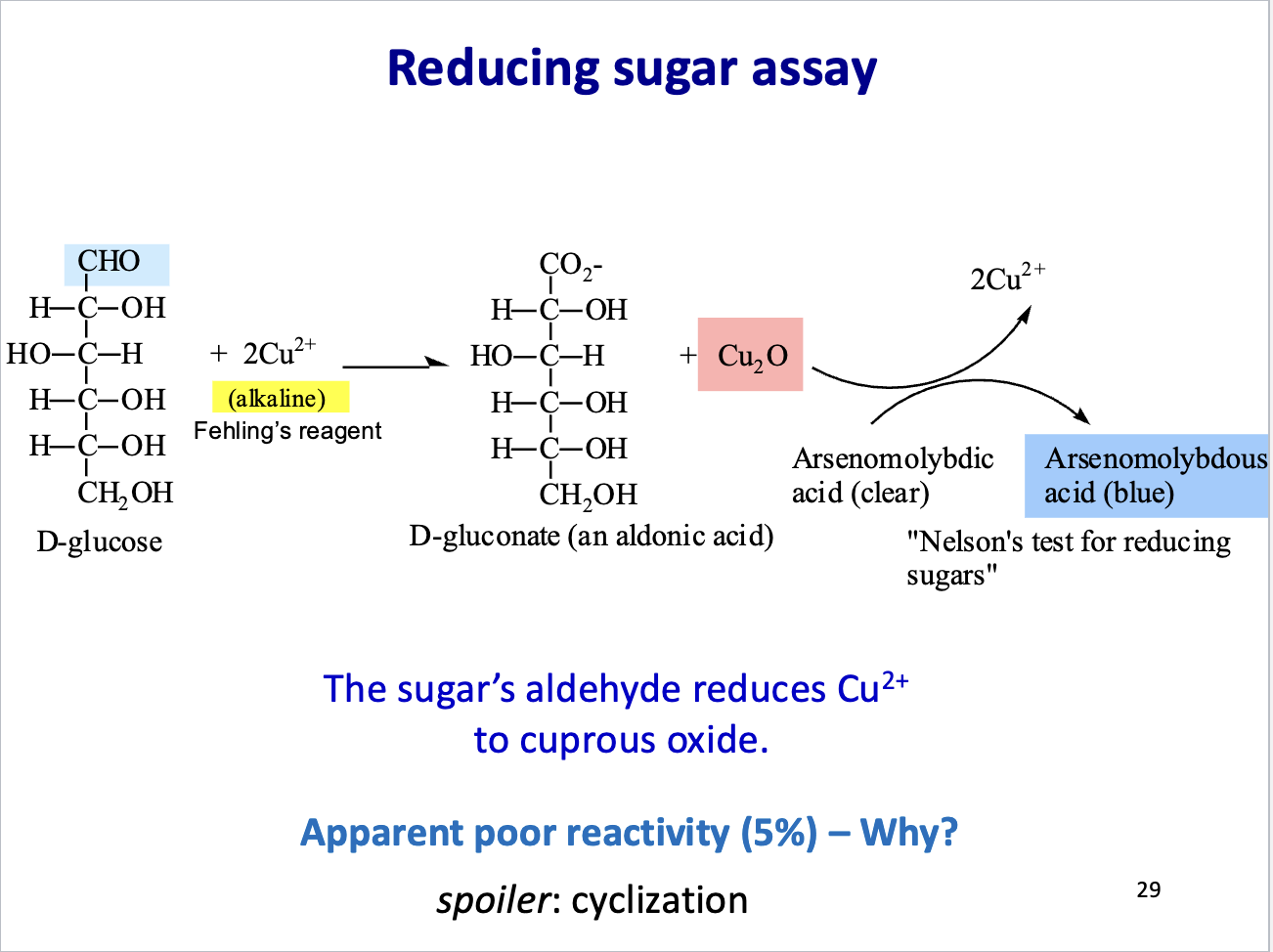 <p>Reducing sugars have a free aldehyde (or sometimes ketone) group that can <strong>donate electrons</strong> to metal ions like <strong>Cu²⁺ or Ag⁺</strong>, reducing them to <strong>Cu⁺ (forms a brick-red precipitate) or Ag⁰ (silver mirror)</strong>. The color change shows sugar is present.</p>