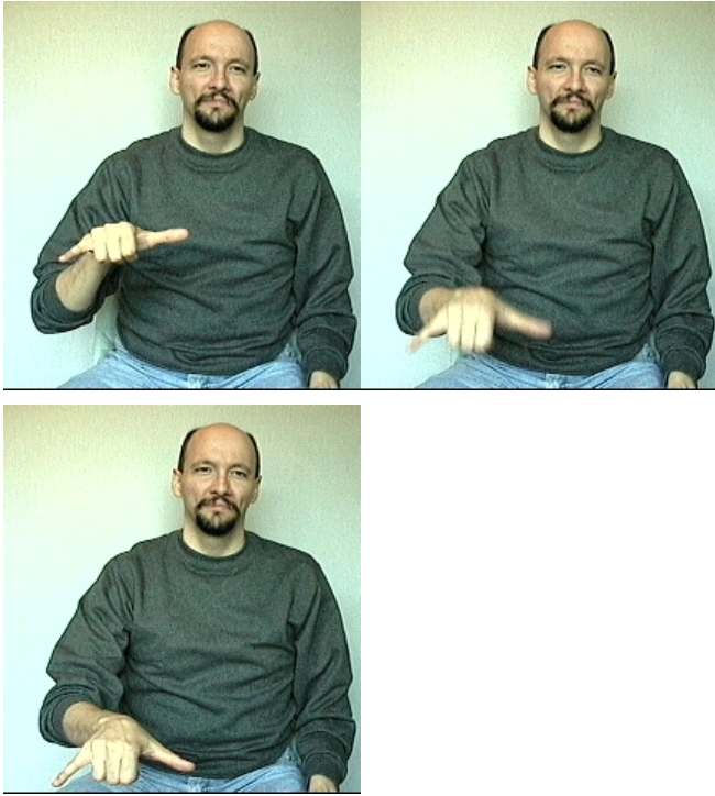 <p><span>The sign for "stay" uses a palm-down "Y" handshape. The movement is more of a forward thrust than a downward slap. You are shoving the knuckles forward and a bit down. Memory aid: Think of telling a dog to "stay."</span></p>