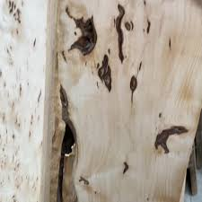<p>formed when bark is wholly or partially encased in wood</p>