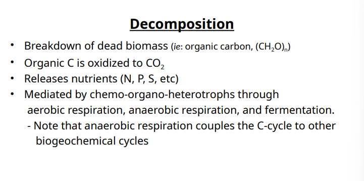 <p>chemo-organo-heterotrophs</p><ol><li><p>Aerobic Resp</p></li><li><p>Anaerobic resp</p></li><li><p>Fermentation </p></li></ol><p></p>