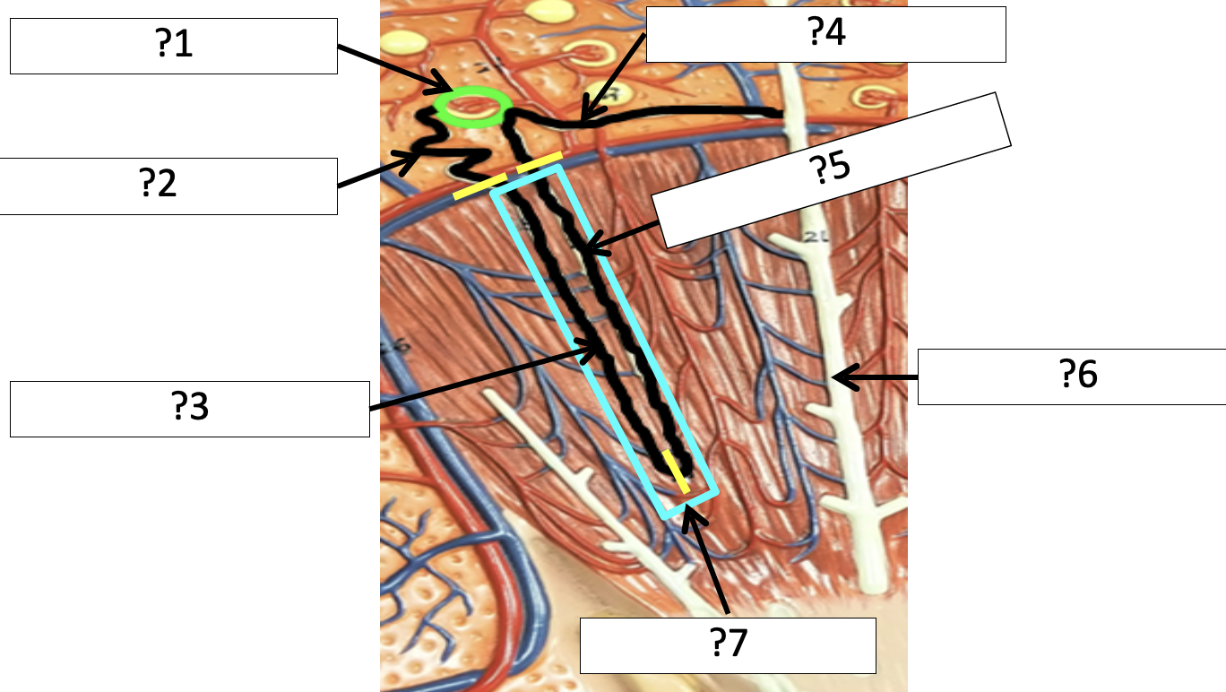<p>2 Name the region?</p>