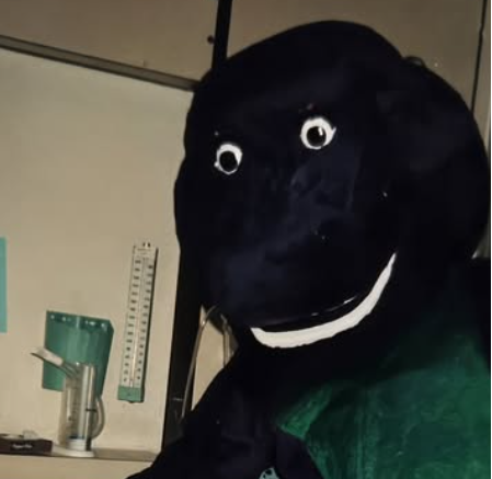 <p>Freddie and his best friend <strong>Telephone Guy</strong> are trying to learn about the 3 main components that make up the “column” in a chromatographic system to stop the purple guy dude. HELP THEM!</p>