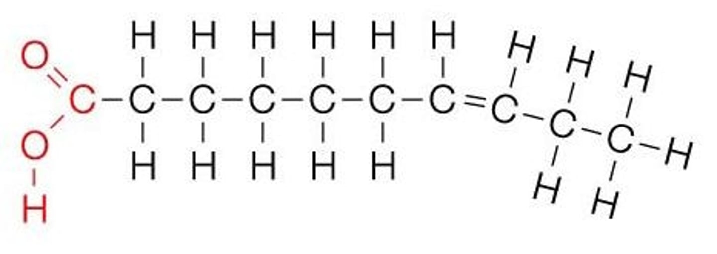 <p>a fatty acid whose hydrocarbon chain contains one or more double bonds</p>