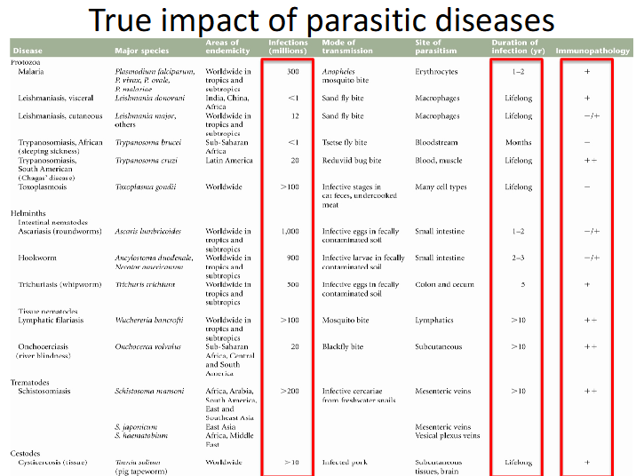 <p>True impact of parasitic diseases</p>