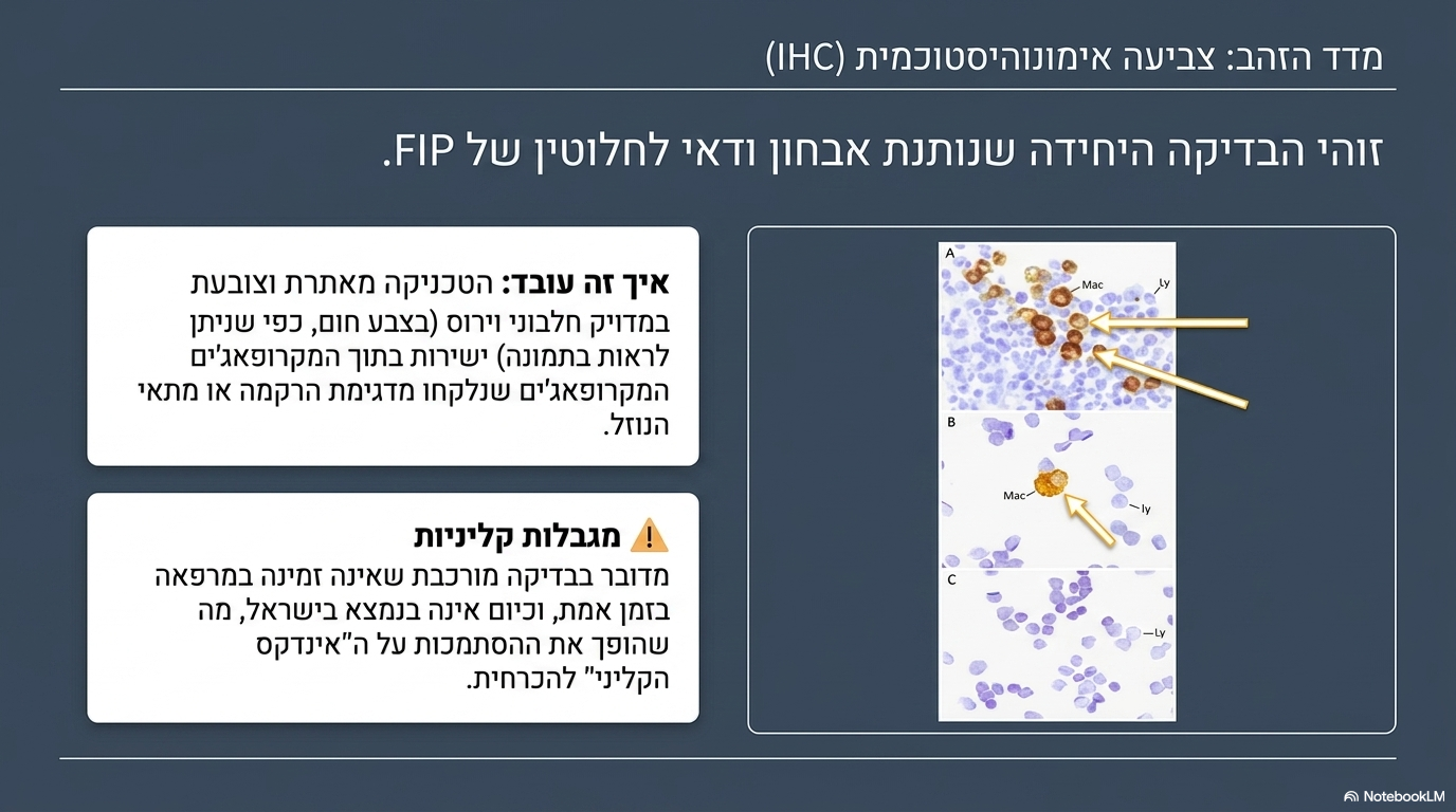 <ul><li><p><strong>אולטרסאונד</strong>: מאפשר זיהוי נוזל חופשי בחללים ושינויים מבניים בקיר המעי, בכבד ובכליות.</p></li><li><p><strong>ביופסיה (היסטולוגיה)</strong>: מראה נוכחות של תסנין דלקתי עשיר מאוד במקרופאג'ים (דלקת פיוגרנולומטוטית).</p></li><li><p><strong>אבחון ודאי וסופי</strong>: בדיקת <strong>צביעה אימונוהיסטוכמית של המוטציה בתוך המקרופאג'ים</strong> היא הבדיקה היחידה המעניקה אבחון ודאי ומוחלט למחלה</p></li></ul><p></p>