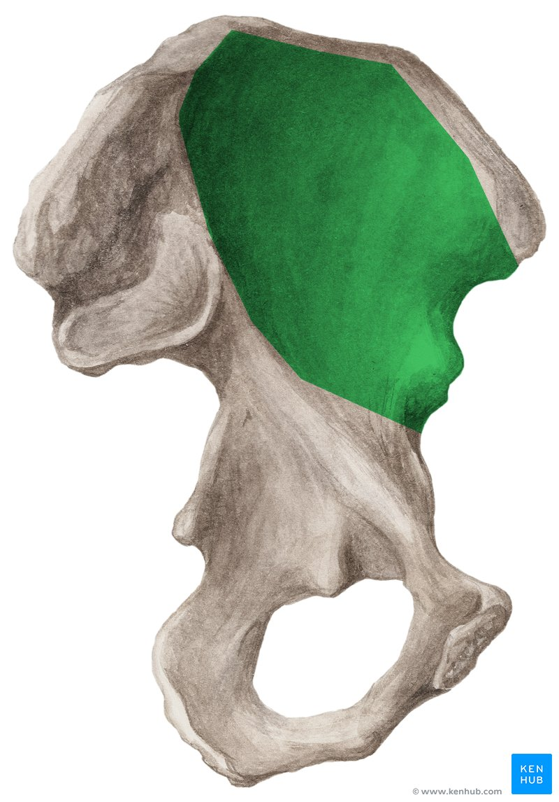 term image