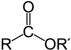 <p>🔹 Se obitene por ACIDO CARBOXILICO y ALCOHOL por ESTERIFICACION se vuelve un ESTER + H20 , ENTONCES Por HIDROLISIS el ESTER + H20 se vuelve ACIDO CARBOXILICO y ALCOHOL</p><p>🔹 Grupo Funcional: Carboalcoxi (-COO-)</p><p>🔹 Polaridad:</p><p>📚Son POLARES (Fuerzas de London y Dipolo-Dipolo)</p><p>Tienen:</p><p>📚Parte APOLAR (cadenas de carbono -C-)</p><p>📚Parte POLAR (grupo -COO-)</p><p>⚠️ IMPORTANTE⚠️</p><p>La esterificación NO es una reacción de neutralización de Arrhenius 💢</p><p>🔹 Isomería🔹</p><p>Son ISÓMEROS DE FUNCIÓN con los ácidos carboxílicos (misma fórmula molecular, diferente grupo funcional)</p>