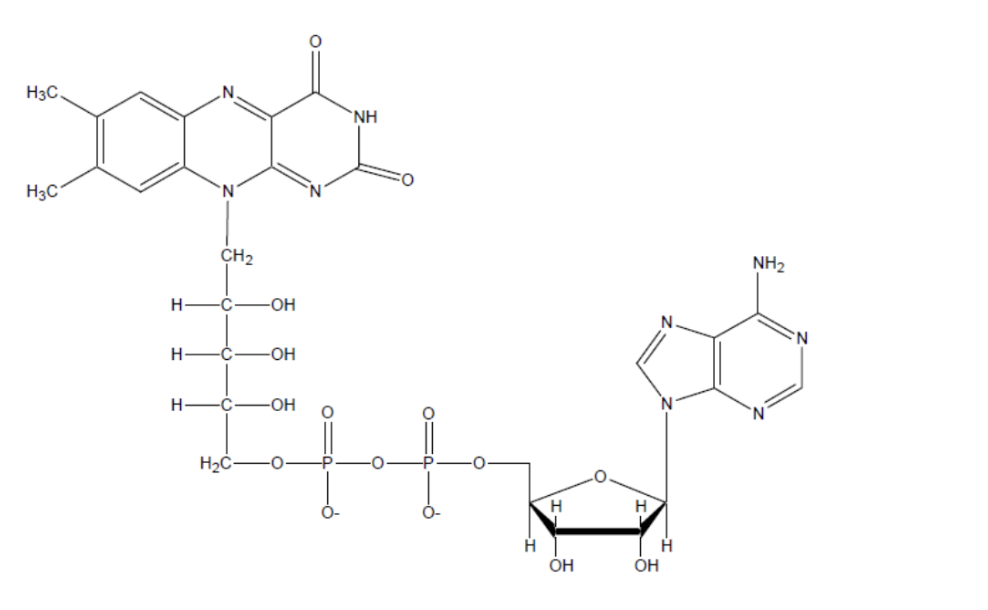 <p><span>The molecule shown is:</span></p><p></p><p>a) FAD</p><p></p><p>b) Biotin</p><p>&nbsp;</p><p>c) Coenzyme A</p><p>&nbsp;</p><p>d) Lipoamide</p><p>&nbsp;</p><p>e) Flavin mononucleotide</p>