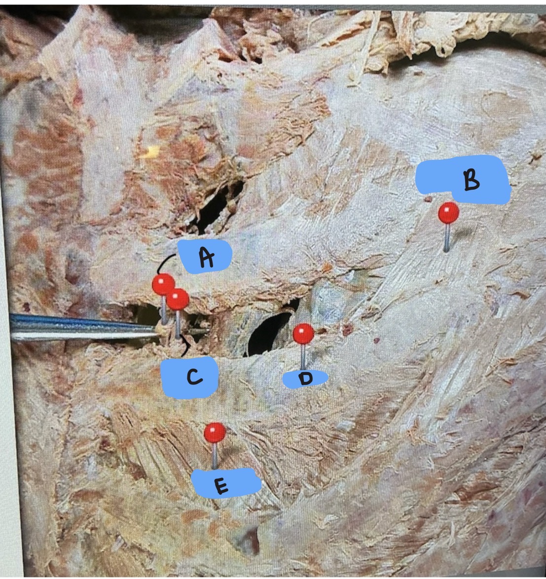 <p>NTK</p>