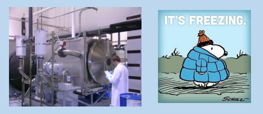 <p>To<strong> minimize loss of volatile compounds </strong>even more, <span style="color: blue;"><strong>moisture content can be determined by an alternative method referred as ________ (freeze drying)</strong></span></p>