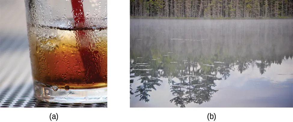 <p><span>What causes condensation to form?</span></p><p><br>A. Liquid water gains enough energy to become water vapor</p><p>B. Solid ice melts directly into liquid water&nbsp;</p><p>C. Water vapor in the air is cooled and changes into liquid water</p><p>D. Liquid water absorbs heat and forms fog</p>