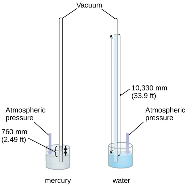 <p><span>Why is </span><strong>mercury</strong><span> typically used in barometers instead of water?</span><br><br>A. <span>Mercury is more dense than water, so a reasonably sized column can measure air pressure.</span></p><p>B. Mercury is less dense than water, so it produces a taller column for the same pressure</p><p>C. Mercury is lighter than water, making it safer to use.</p><p>D. Mercury is less dense than water, so the barometer needs to be over 30 feet tall.</p>