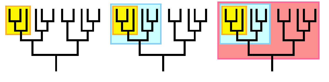 <p><span style="background-color: transparent;">Monophyletic vs Non-Monophyletic Groups</span></p><ul><li><p><span style="background-color: transparent;">Paraphyletic group: <strong>Ancestor and some of its descendants (???)&nbsp;</strong></span></p></li><li><p><span style="background-color: transparent;">Polyphyletic groups: <strong>Based on similar characteristics but not ancestry</strong></span></p></li><li><p><span style="background-color: transparent;">Monophyletic groups: <strong>Common ancestor and all of its descendants (Clade)</strong>&nbsp;</span></p><ul><li><p><span style="background-color: transparent;">Can scale (all three boxes are monophyletic)&nbsp;</span></p></li></ul></li></ul><p></p>