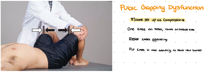 <ol><li><p><span style="background-color: transparent;">Pt is supine.</span></p></li><li><p><span style="background-color: transparent;">Other knee against your abdomen</span></p></li><li><p><span style="background-color: transparent;">Make sure pts ankles are touching</span></p></li><li><p><span style="background-color: transparent;">Push knees together (into barrier)</span></p></li><li><p><span style="background-color: transparent;">Pt pushes knees apart (into freedom)</span></p></li><li><p><span style="background-color: transparent;">Distance between knees is decreased each time</span></p></li></ol><p></p>