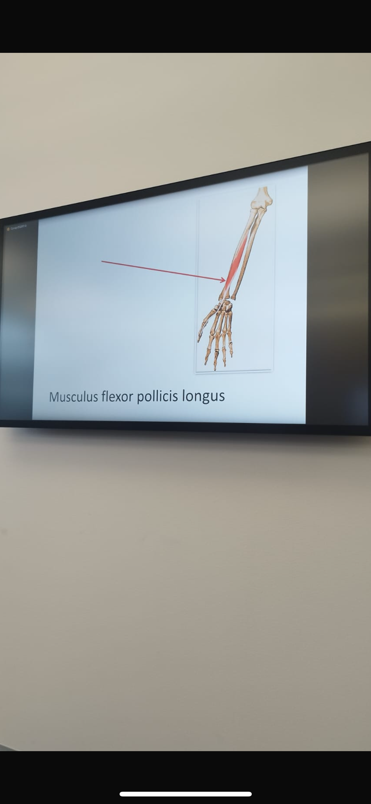 term image