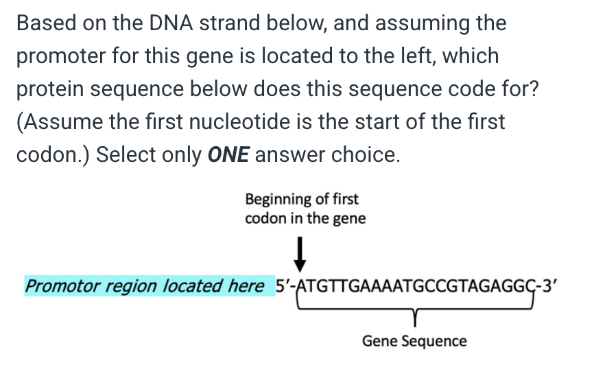 <p>Met-Leu-Lys-Met-Pro-Arg</p><p></p><p>&nbsp;</p><p>Met-Leu-Lys-Met-Pro</p><p>&nbsp;</p><p>Met-Leu-Lys-Met-Pro-stop-Arg</p><p>&nbsp;</p><p>Met-Pro</p><p>&nbsp;</p><p>Pro-Met-Lys-Leu-Met</p>